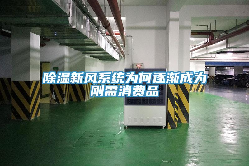 除濕新風(fēng)系統(tǒng)為何逐漸成為剛需消費品
