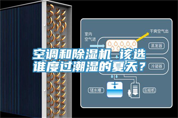 空調(diào)和除濕機(jī) 該選誰度過潮濕的夏天？