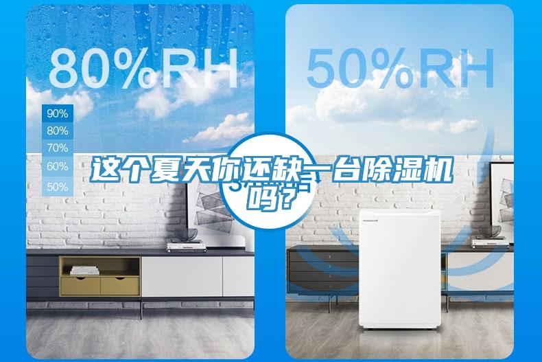 這個夏天你還缺一臺除濕機嗎？
