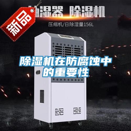 除濕機(jī)在防腐蝕中的重要性