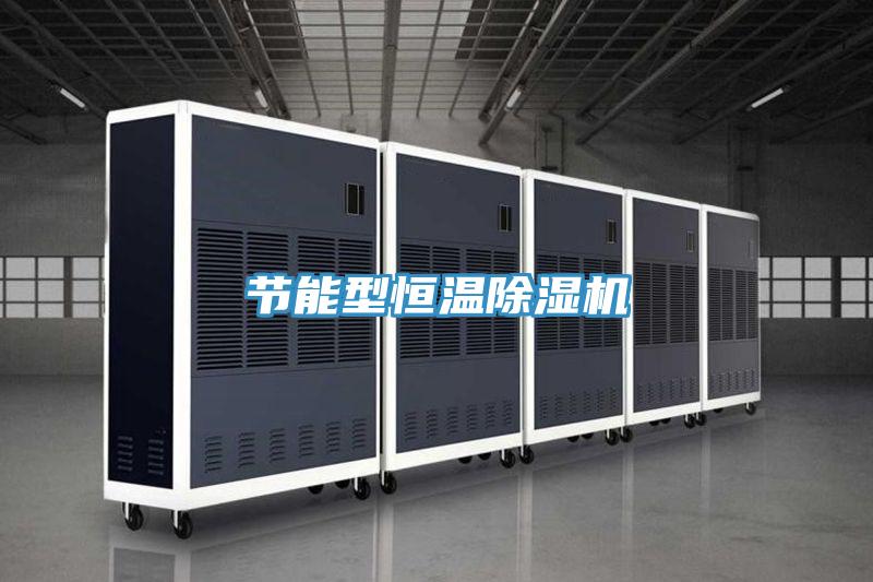 節(jié)能型恒溫除濕機