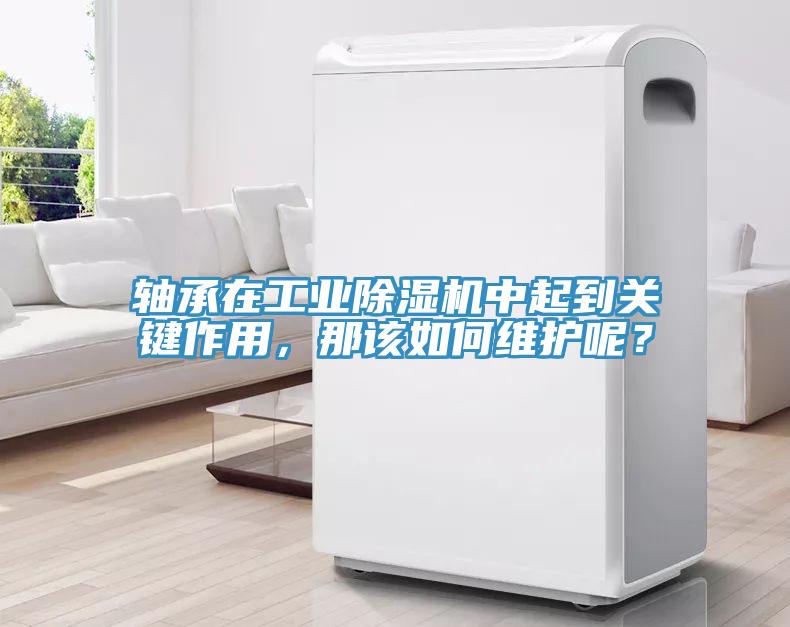 軸承在工業(yè)除濕機中起到關鍵作用，那該如何維護呢？