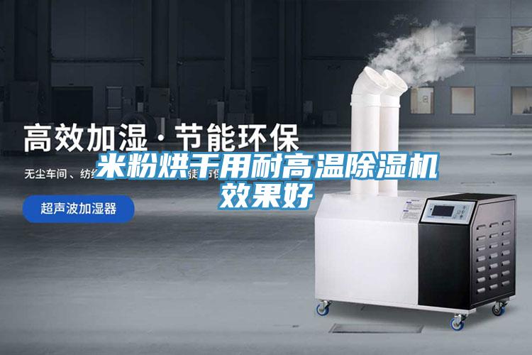 米粉烘干用耐高溫除濕機(jī)效果好