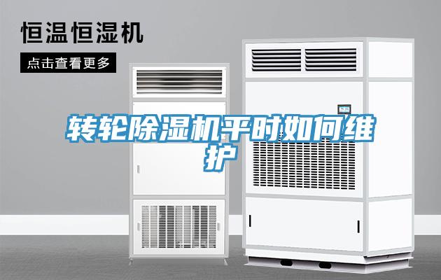 轉(zhuǎn)輪除濕機(jī)平時如何維護(hù)