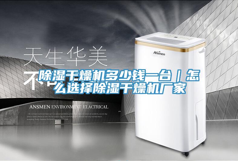 除濕干燥機(jī)多少錢一臺(tái)｜怎么選擇除濕干燥機(jī)廠家