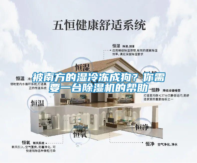 被南方的濕冷凍成狗？你需要一臺(tái)除濕機(jī)的幫助