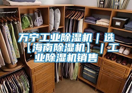 萬(wàn)寧工業(yè)除濕機(jī)｜選【海南除濕機(jī)】｜工業(yè)除濕機(jī)銷(xiāo)售
