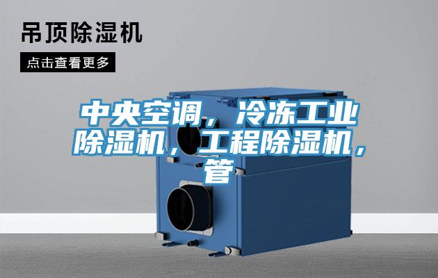 中央空調(diào)，冷凍工業(yè)除濕機(jī)，工程除濕機(jī)，管