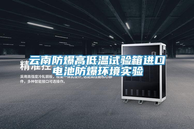 云南防爆高低溫試驗箱進口電池防爆環(huán)境實驗