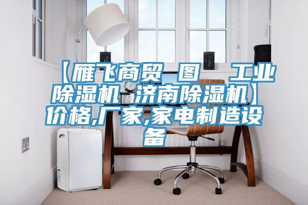 【雁飛商貿(mào) 圖  工業(yè)除濕機 濟南除濕機】價格,廠家,家電制造設(shè)備