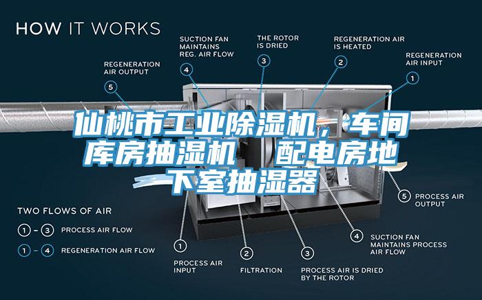 仙桃市工業(yè)除濕機(jī)，車間庫(kù)房抽濕機(jī)  配電房地下室抽濕器