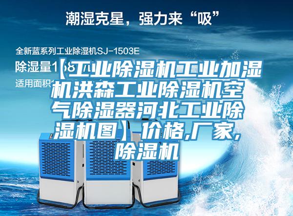 【工業(yè)除濕機(jī)工業(yè)加濕機(jī)洪森工業(yè)除濕機(jī)空氣除濕器河北工業(yè)除濕機(jī)圖】價(jià)格,廠家,除濕機(jī)