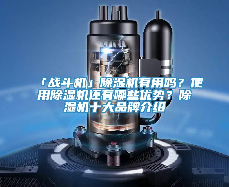 「戰(zhàn)斗機(jī)」除濕機(jī)有用嗎？使用除濕機(jī)還有哪些優(yōu)勢(shì)？除濕機(jī)十大品牌介紹