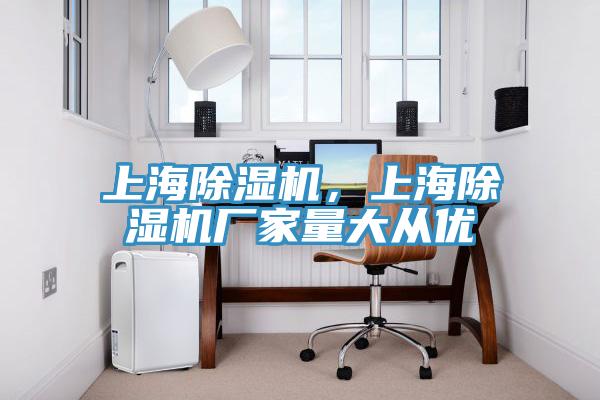 上海除濕機(jī)，上海除濕機(jī)廠家量大從優(yōu)