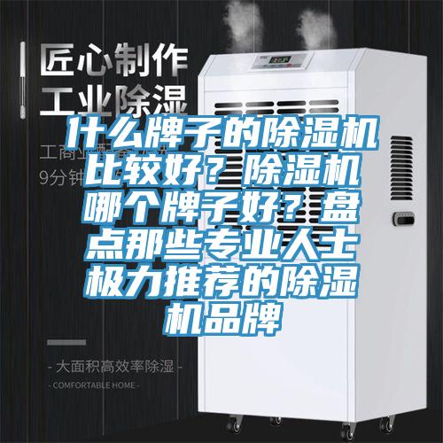 什么牌子的除濕機比較好？除濕機哪個牌子好？盤點那些專業(yè)人士極力推薦的除濕機品牌