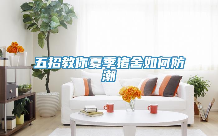 五招教你夏季豬舍如何防潮