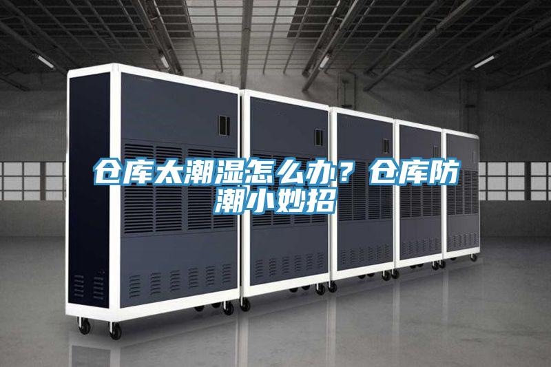 倉(cāng)庫(kù)太潮濕怎么辦？倉(cāng)庫(kù)防潮小妙招