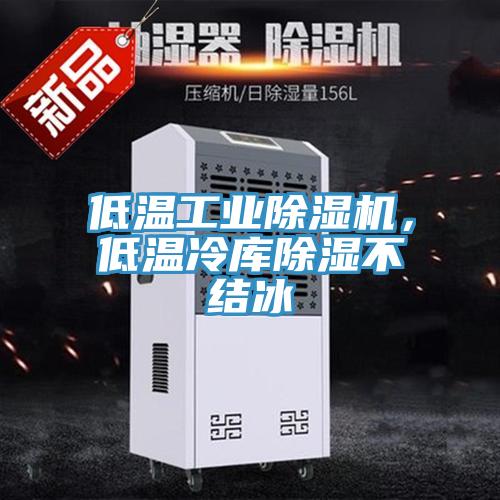 低溫工業(yè)除濕機，低溫冷庫除濕不結冰