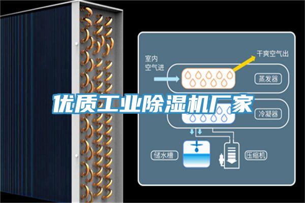 優(yōu)質(zhì)工業(yè)除濕機(jī)廠(chǎng)家