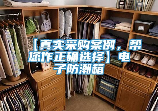 【真實采購案例，幫您作正確選擇】電子防潮箱