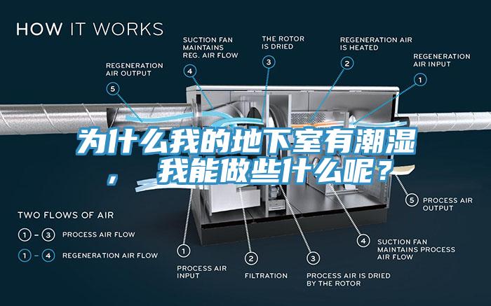 為什么我的地下室有潮濕， 我能做些什么呢？