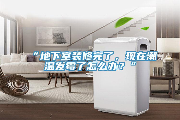 “地下室裝修完了，現(xiàn)在潮濕發(fā)霉了怎么辦？”