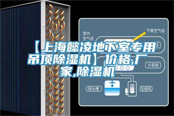 【上海懿凌地下室專用吊頂除濕機(jī)】價(jià)格,廠家,除濕機(jī)