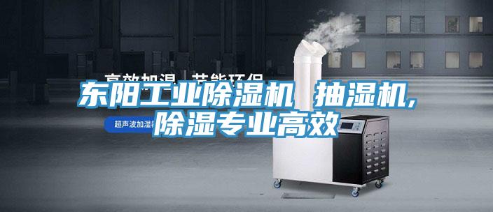 東陽(yáng)工業(yè)除濕機(jī) 抽濕機(jī),除濕專業(yè)高效