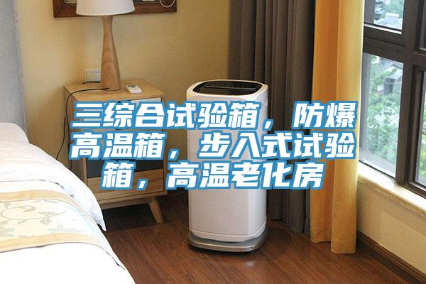 三綜合試驗(yàn)箱，防爆高溫箱，步入式試驗(yàn)箱，高溫老化房