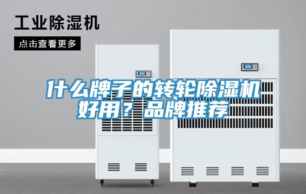 什么牌子的轉(zhuǎn)輪除濕機好用？品牌推薦