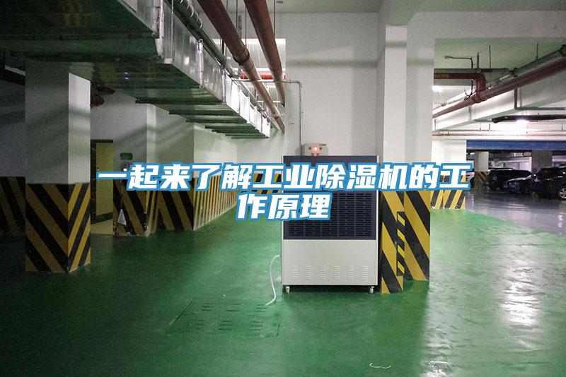 一起來(lái)了解工業(yè)除濕機(jī)的工作原理