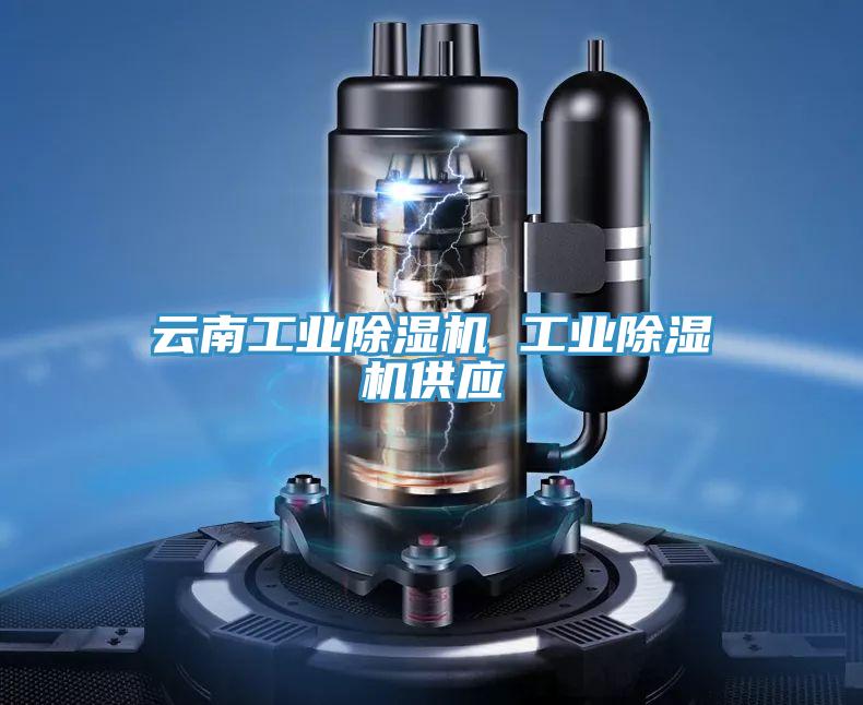 云南工業(yè)除濕機 工業(yè)除濕機供應(yīng)