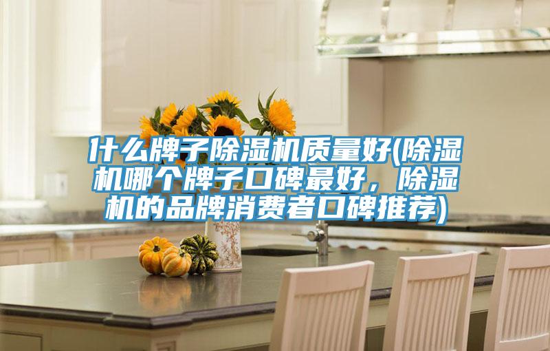 什么牌子除濕機質量好(除濕機哪個牌子口碑最好，除濕機的品牌消費者口碑推薦)
