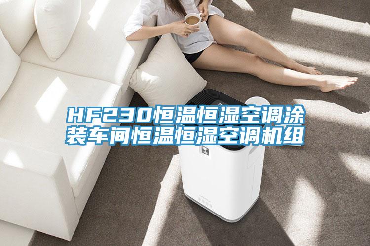 HF230恒溫恒濕空調(diào)涂裝車(chē)間恒溫恒濕空調(diào)機(jī)組