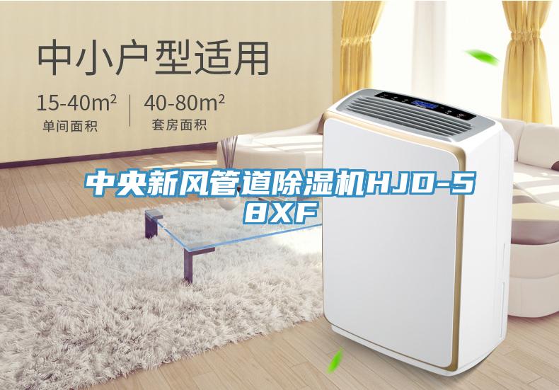 中央新風(fēng)管道除濕機(jī)HJD-58XF