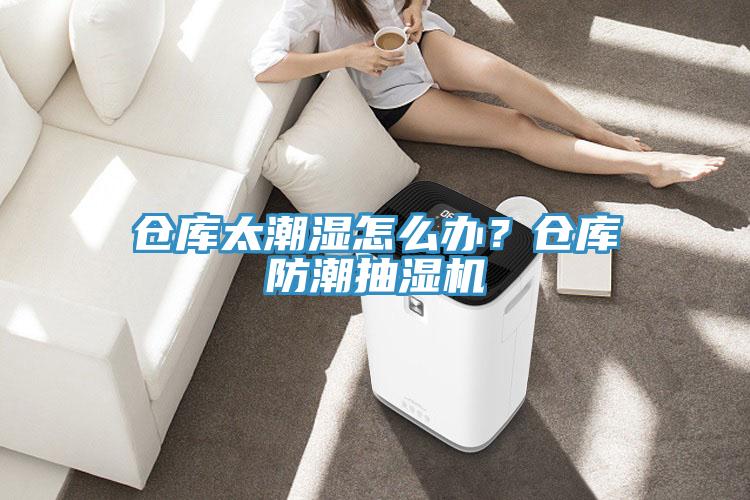 倉(cāng)庫(kù)太潮濕怎么辦？倉(cāng)庫(kù)防潮抽濕機(jī)