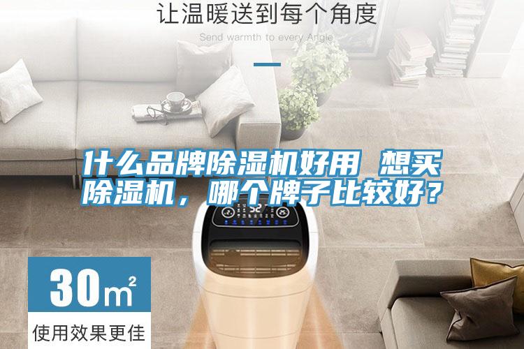 什么品牌除濕機好用 想買除濕機，哪個牌子比較好？