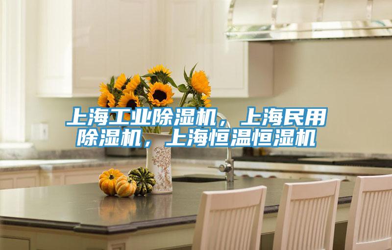 上海工業(yè)除濕機(jī)，上海民用除濕機(jī)，上海恒溫恒濕機(jī)