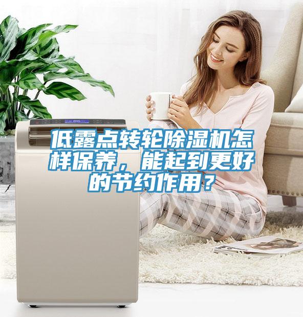 低露點轉輪除濕機怎樣保養(yǎng)，能起到更好的節(jié)約作用？