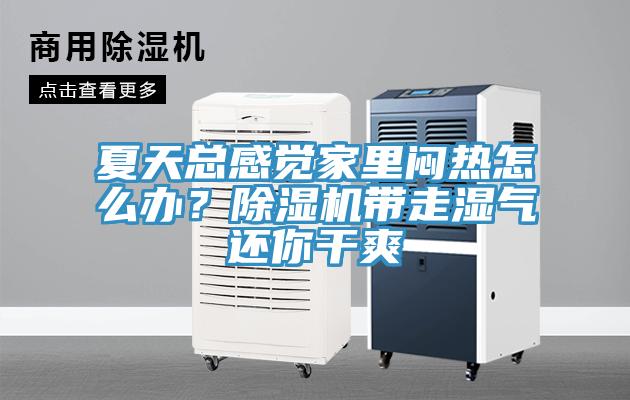 夏天總感覺家里悶熱怎么辦？除濕機(jī)帶走濕氣還你干爽
