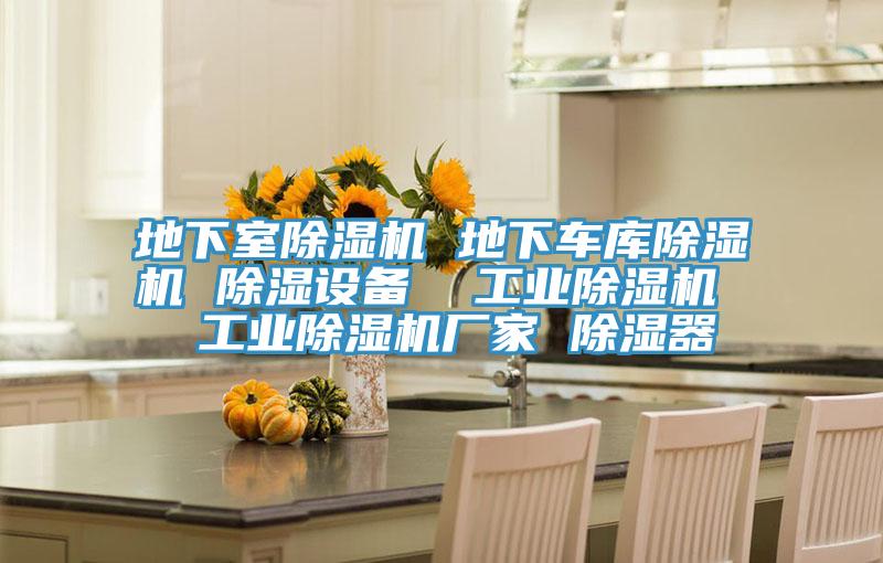 地下室除濕機 地下車庫除濕機 除濕設(shè)備  工業(yè)除濕機  工業(yè)除濕機廠家 除濕器