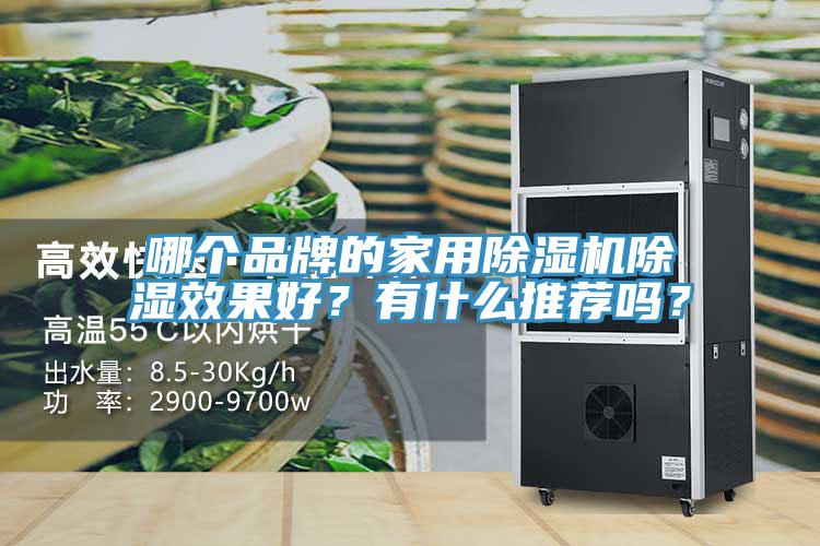 哪個(gè)品牌的家用除濕機(jī)除濕效果好？有什么推薦嗎？