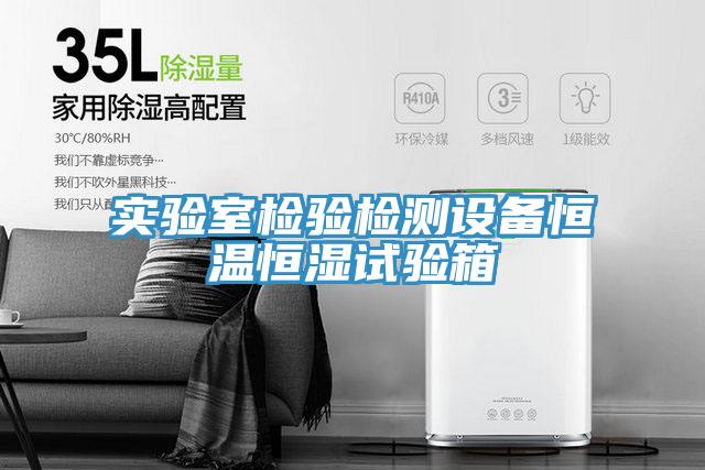 實驗室檢驗檢測設(shè)備恒溫恒濕試驗箱
