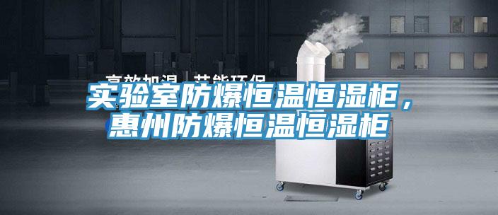 實驗室防爆恒溫恒濕柜，惠州防爆恒溫恒濕柜
