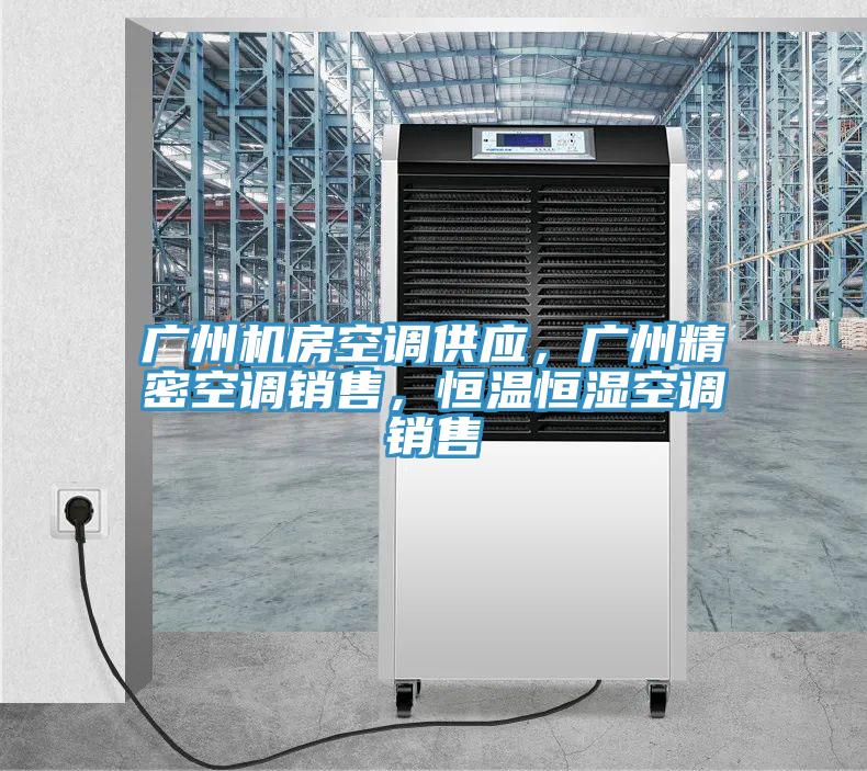 廣州機房空調(diào)供應(yīng)，廣州精密空調(diào)銷售，恒溫恒濕空調(diào)銷售