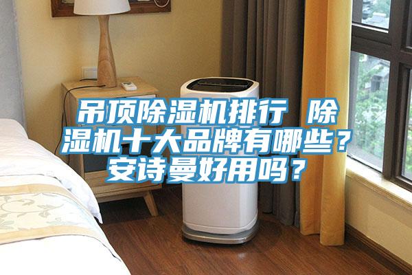 吊頂除濕機(jī)排行 除濕機(jī)十大品牌有哪些？安詩曼好用嗎？