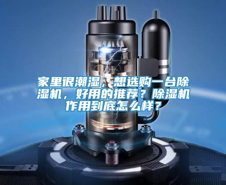 家里很潮濕，想選購一臺除濕機(jī)，好用的推薦？除濕機(jī)作用到底怎么樣？