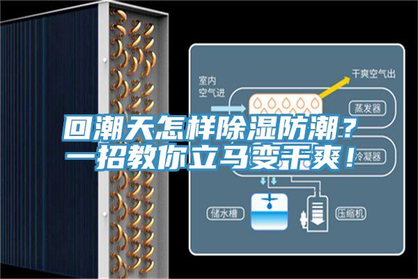 回潮天怎樣除濕防潮？一招教你立馬變干爽！