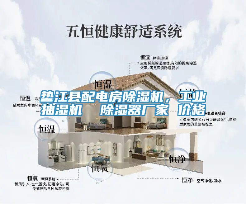 墊江縣配電房除濕機(jī)，工業(yè)抽濕機(jī)  除濕器廠家 價格