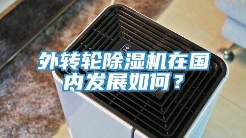 外轉(zhuǎn)輪除濕機(jī)在國內(nèi)發(fā)展如何？